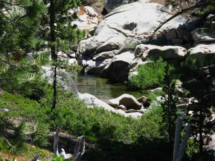 Placid waters of Highland Creek during July.